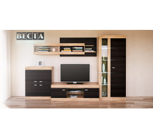 Комбинированный шкаф в гостиную Веста МН-130-02